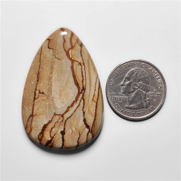 Picture Jasper