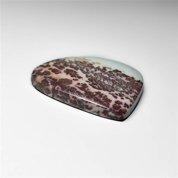 Porcelian Jasper Cabochon