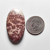 Porcelian Jasper Cabochon