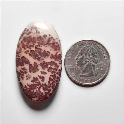 Porcelian Jasper Cabochon