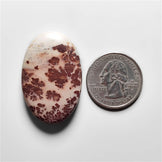 Porcelian Jasper Cabochon