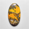 Bumble Bee Jasper