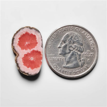 Rare Rhodochrosite Stalactite Slice