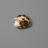 Garnet|Garnet In Limestone