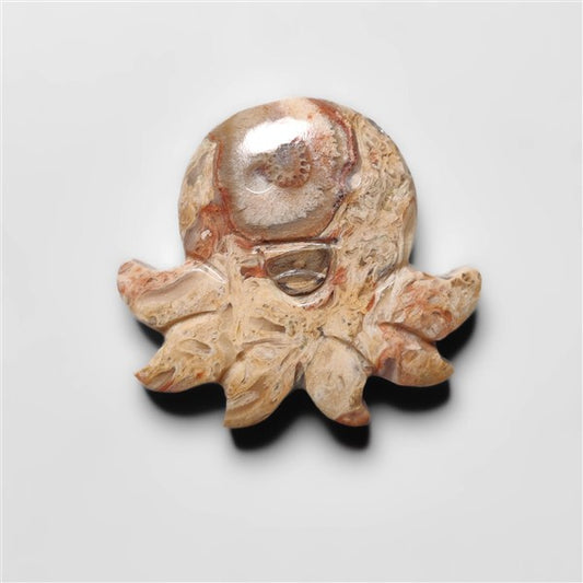 Indonesian Palmroot Octopus Carving