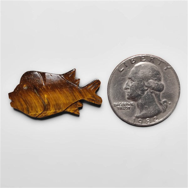 Tiger Eye