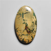 Picture Jasper