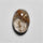 Rutilated Quartz