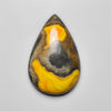Bumble Bee Jasper