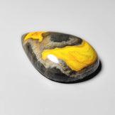 Bumble Bee Jasper