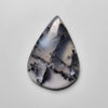 Dendritic Agate