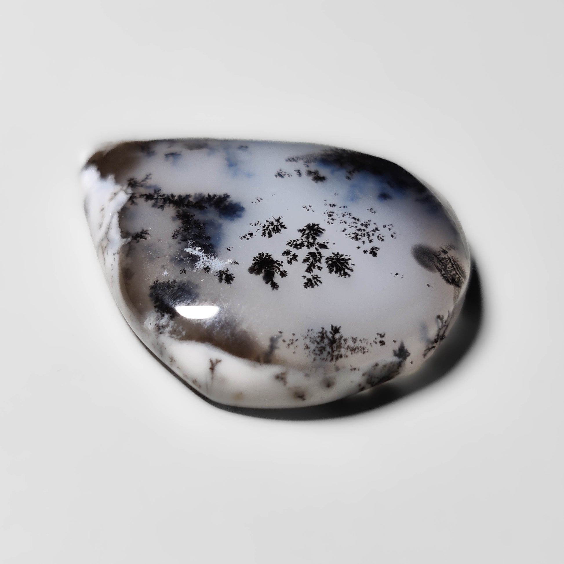 Dendritic Agate