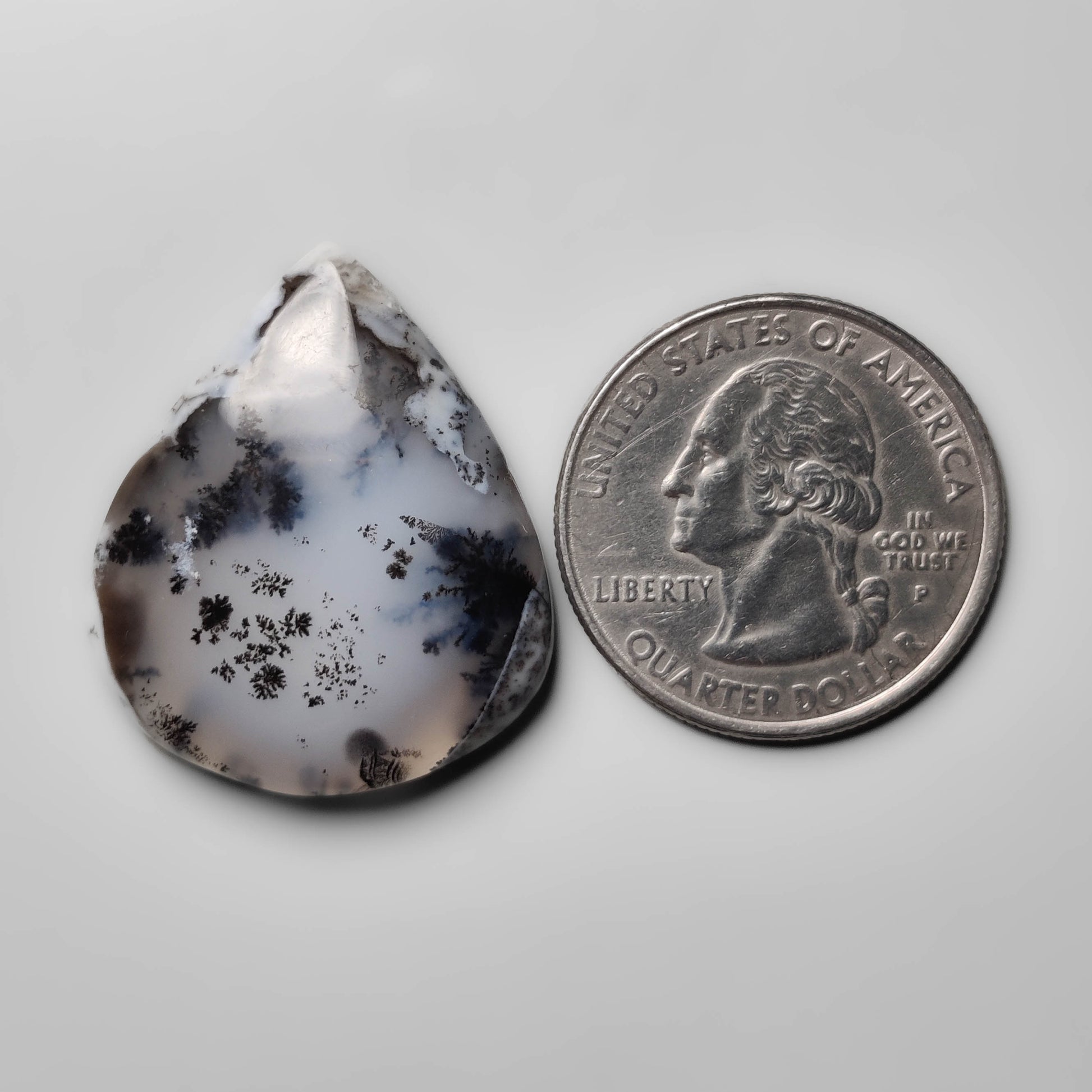 Dendritic Agate