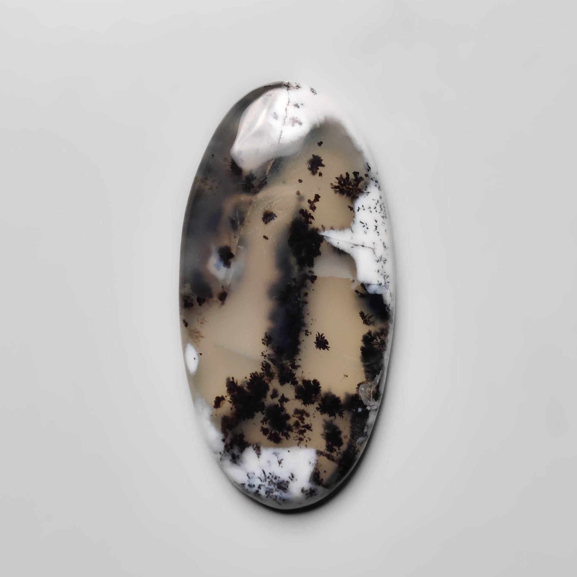 Dendritic Agate