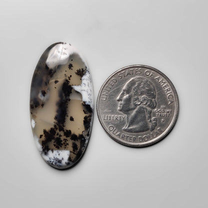 Dendritic Agate