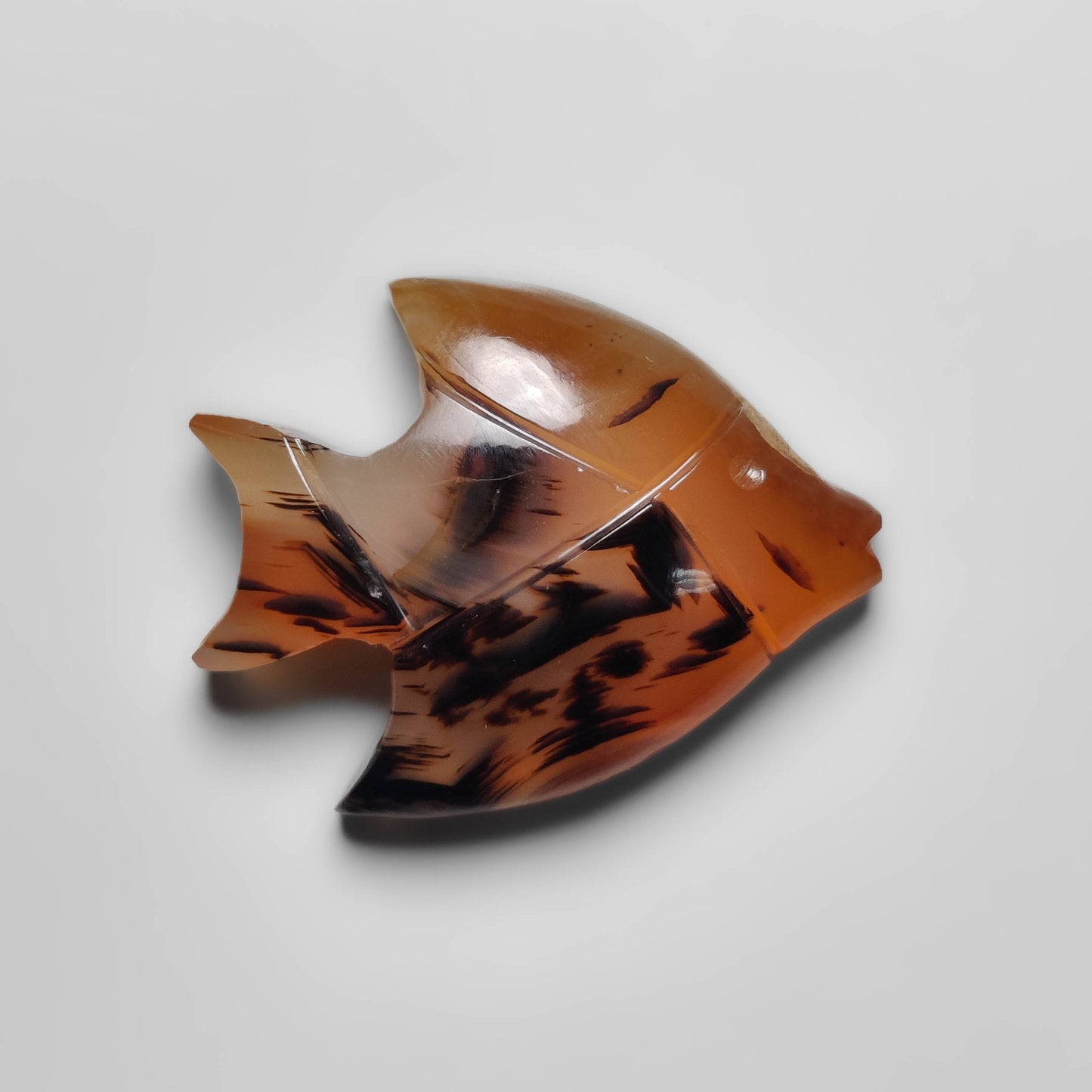 Montana Agate