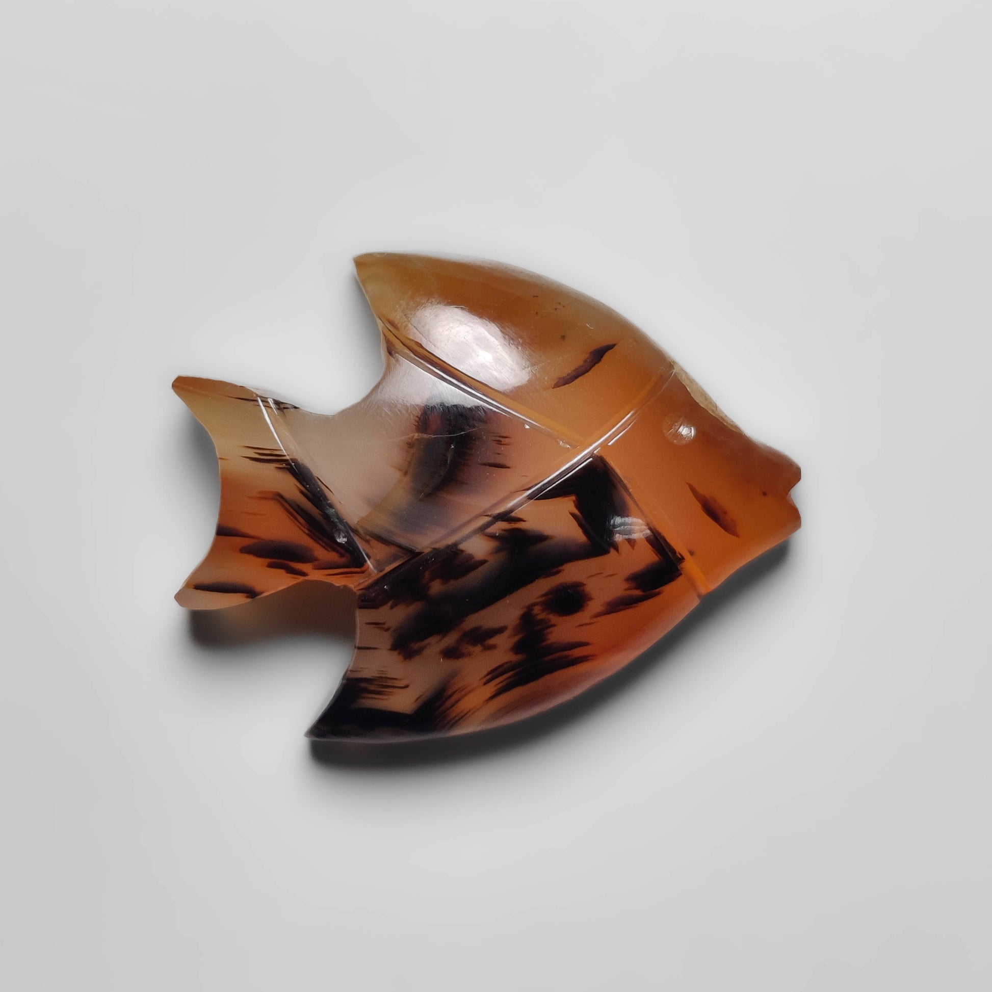 Montana Agate