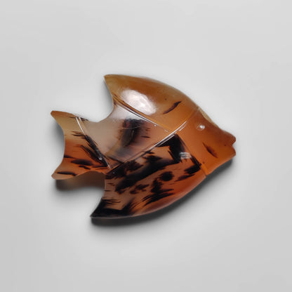 Montana Agate