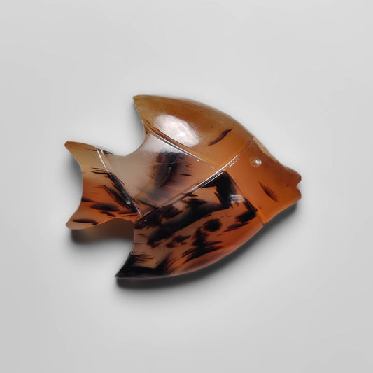 Montana Agate