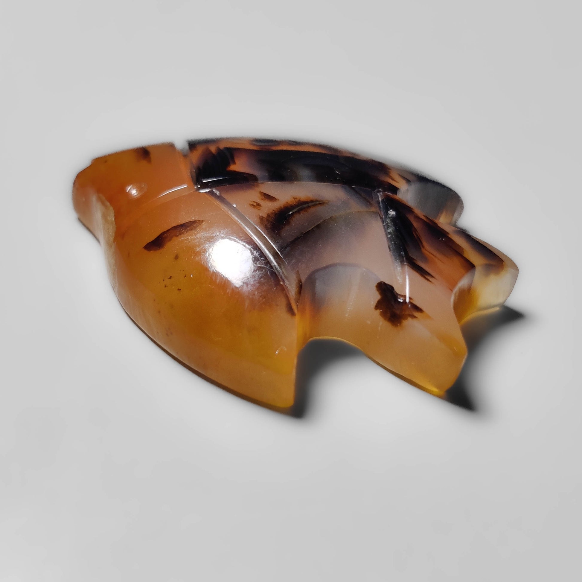 Montana Agate