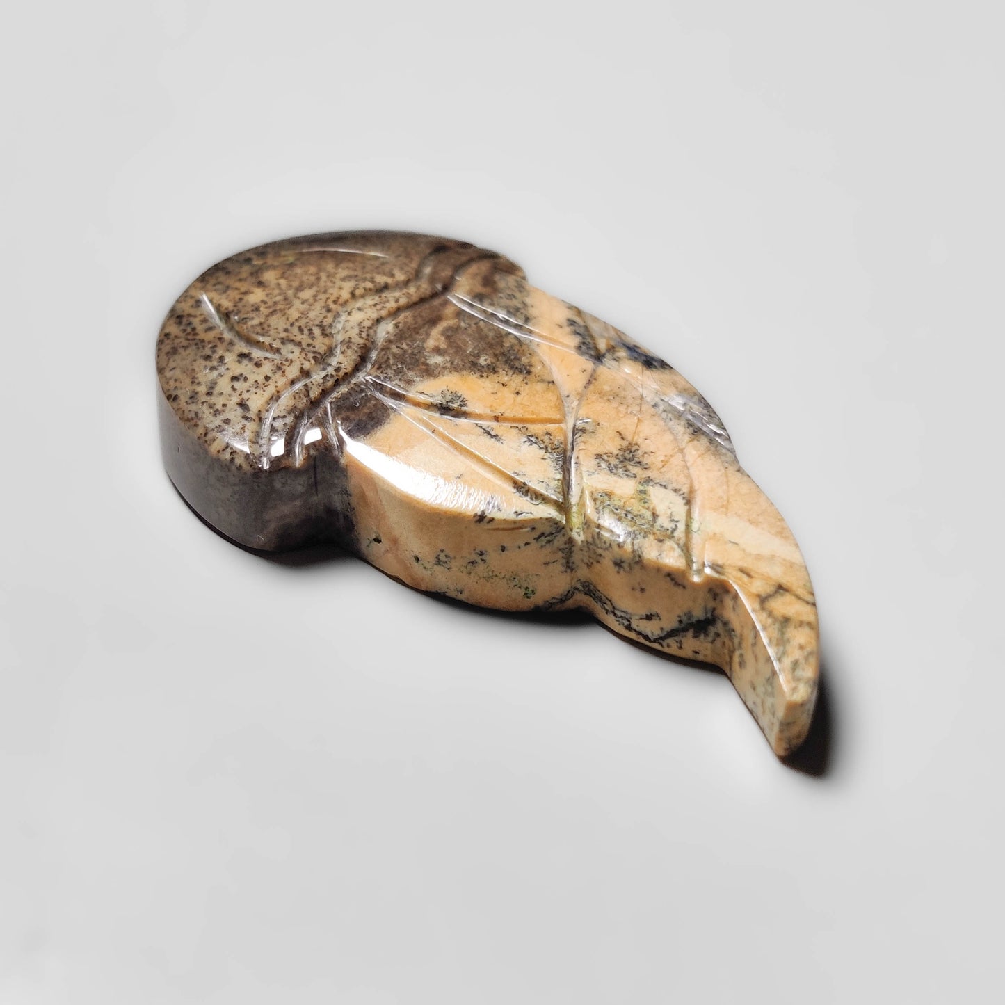 Sagebrush Jasper