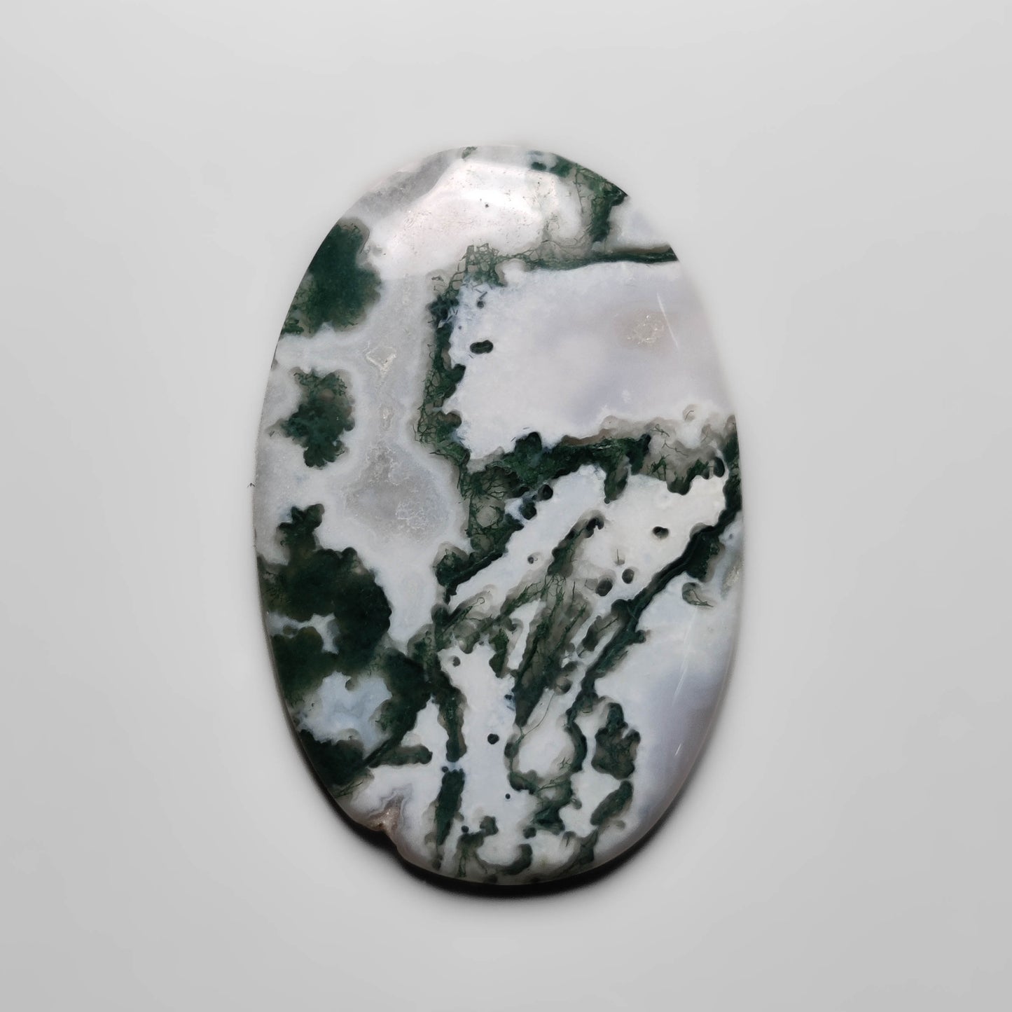 Tree Agate