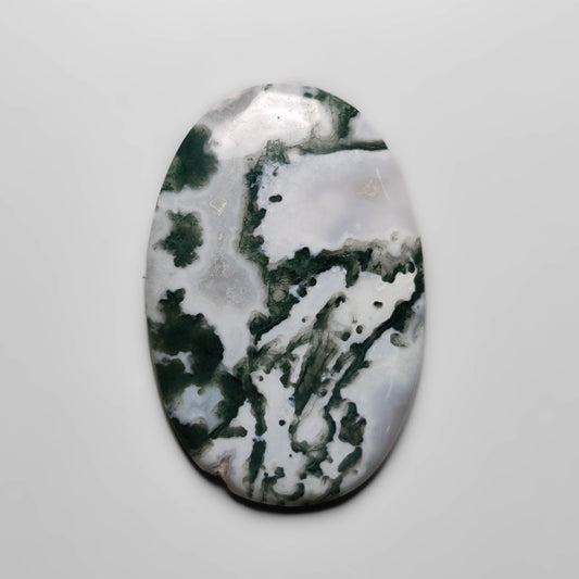 Tree Agate
