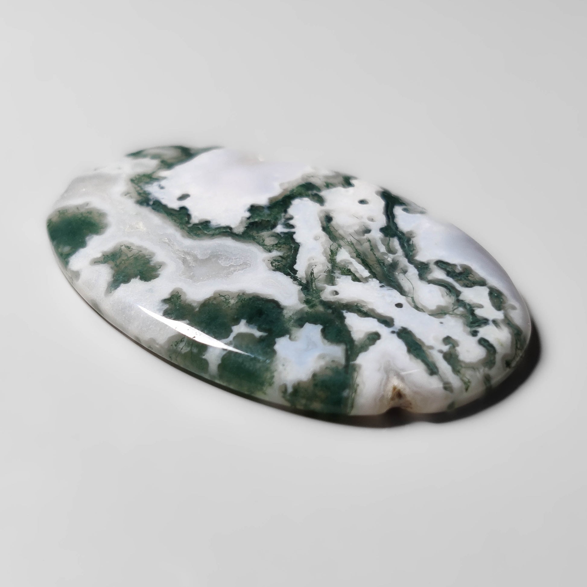 Tree Agate