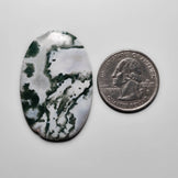 Tree Agate