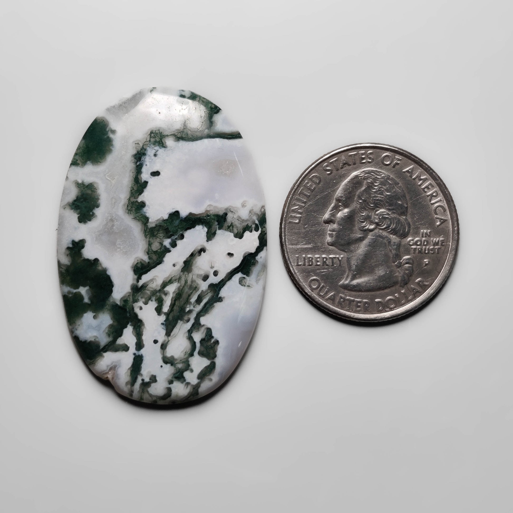 Tree Agate