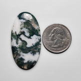 Tree Agate
