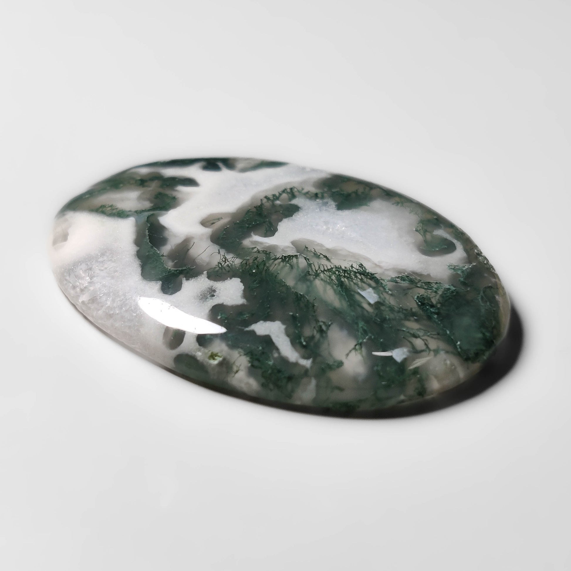 Tree Agate
