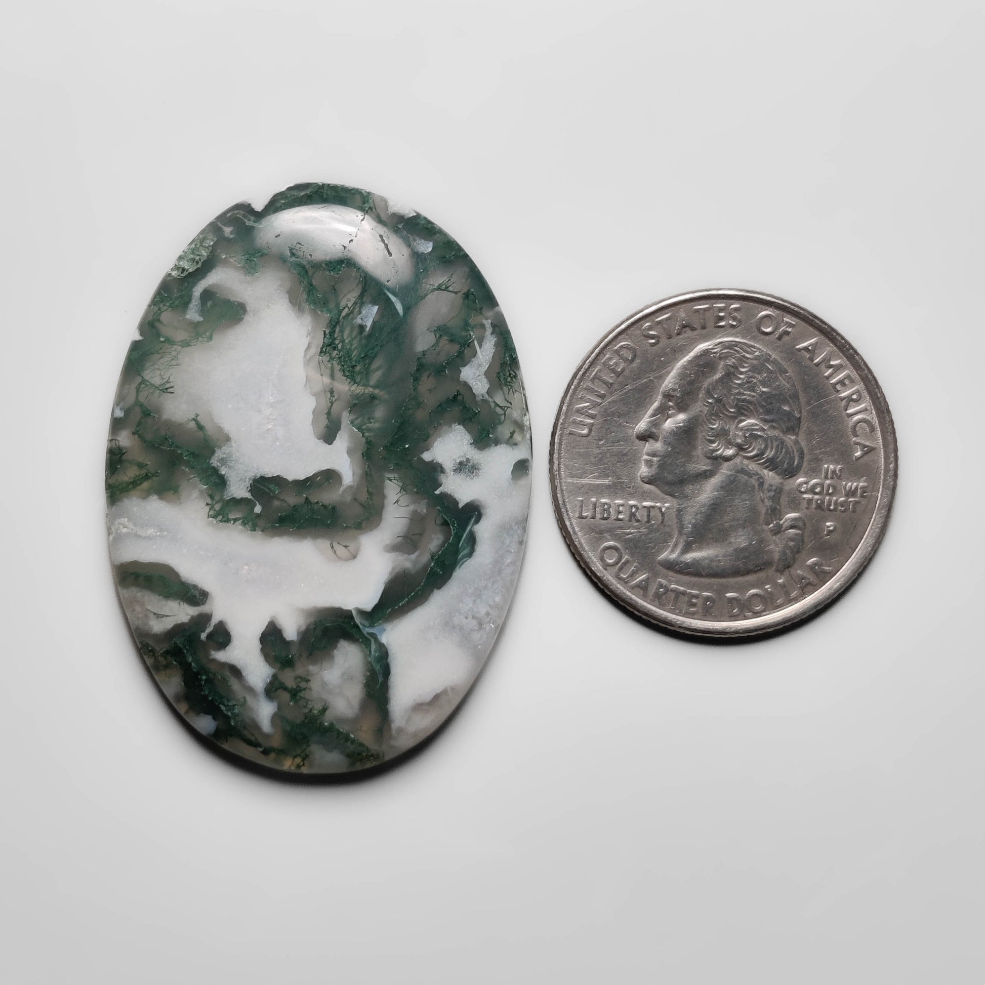 Tree Agate