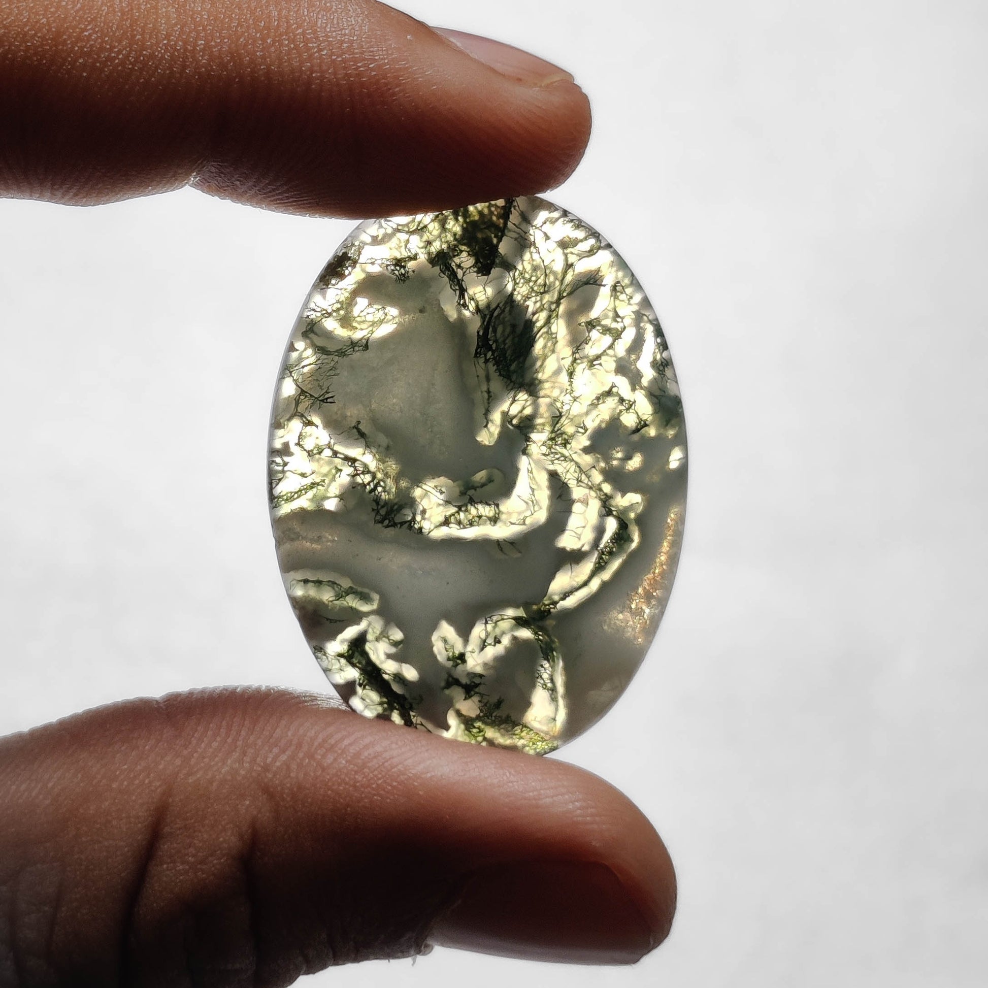 Tree Agate