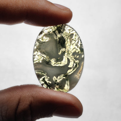 Tree Agate