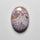 Ocean Jasper