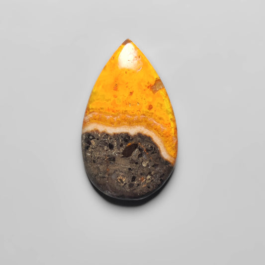 Bumble Bee Jasper