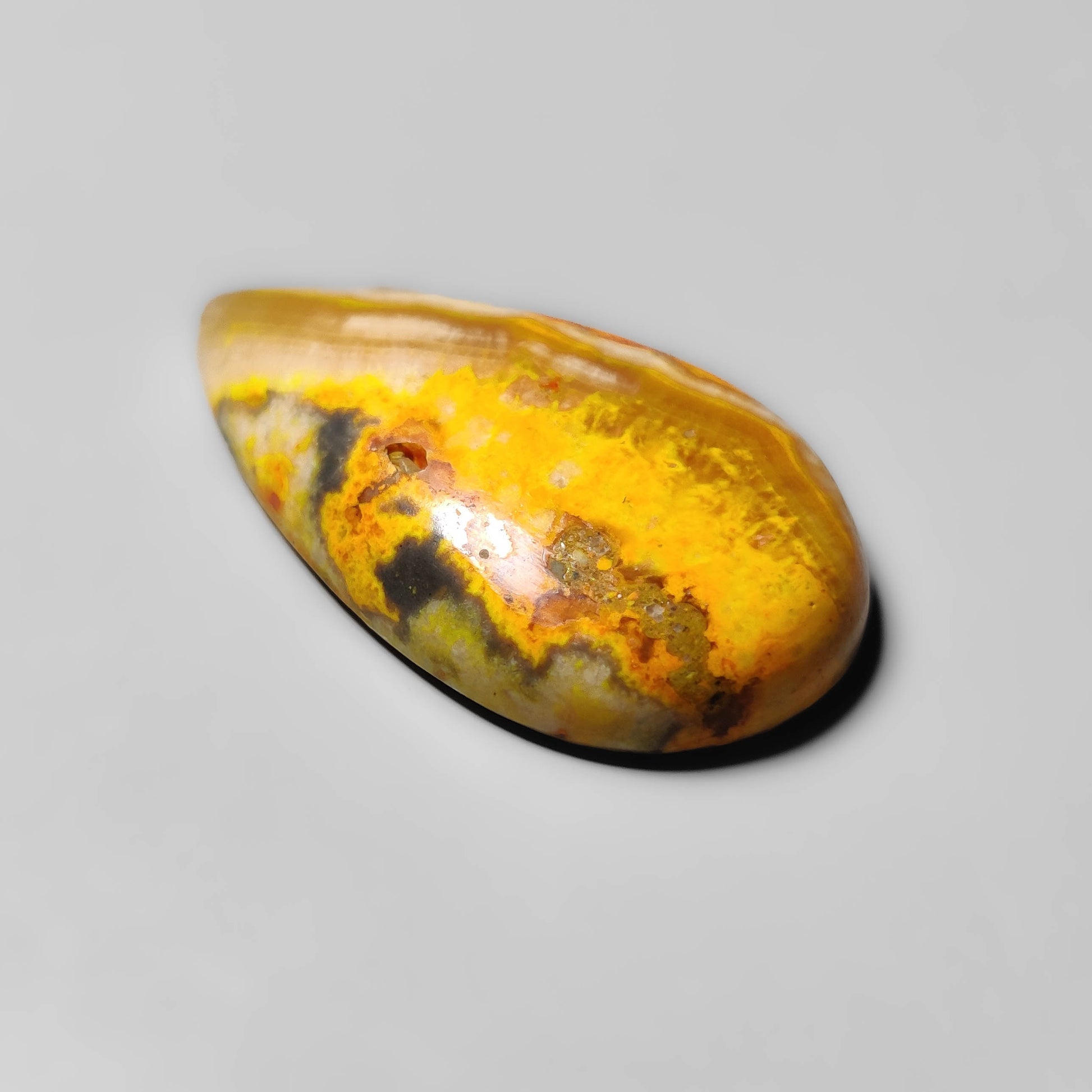 Bumble Bee Jasper