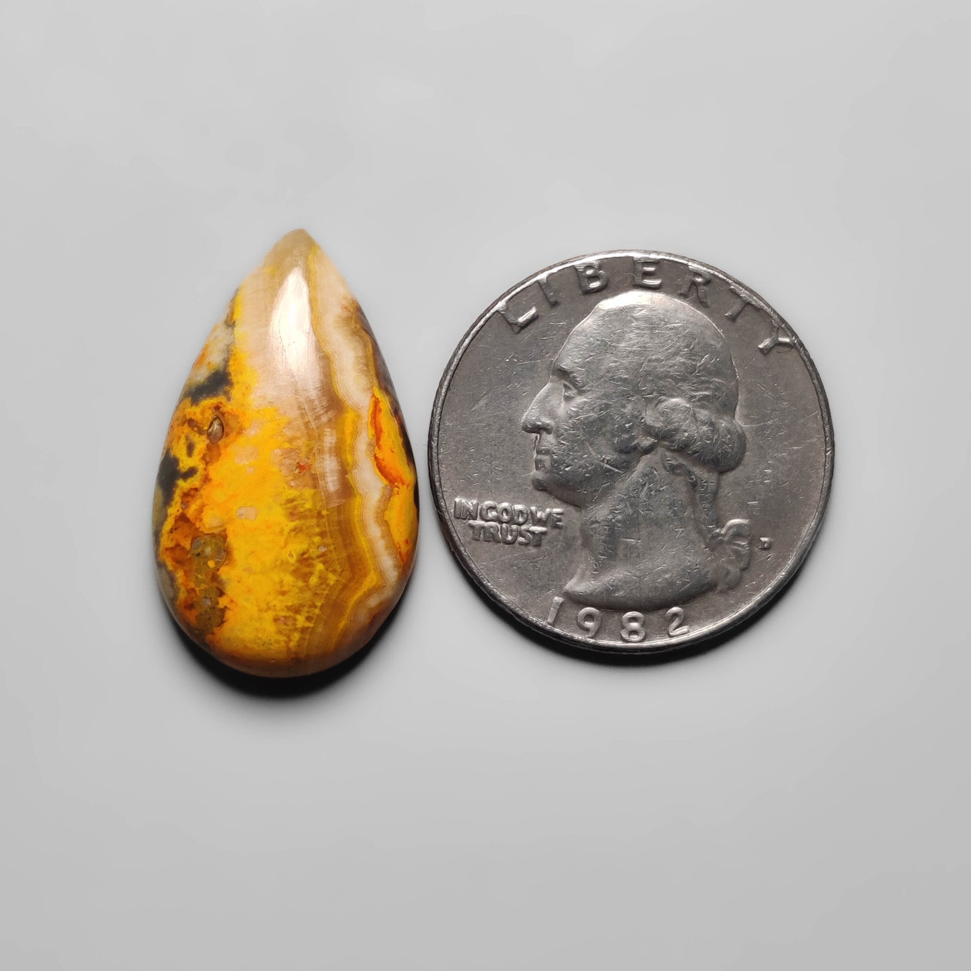 Bumble Bee Jasper