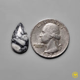Pinolith