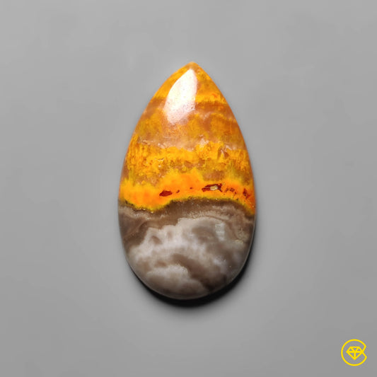 Bumble Bee Jasper