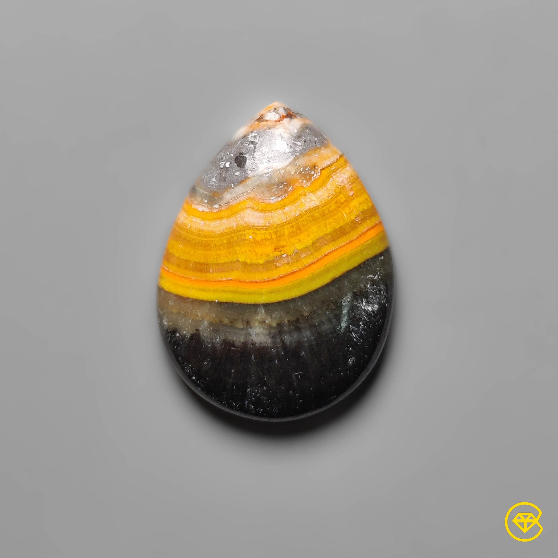 Bumble Bee Jasper