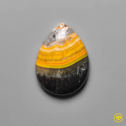 Bumble Bee Jasper