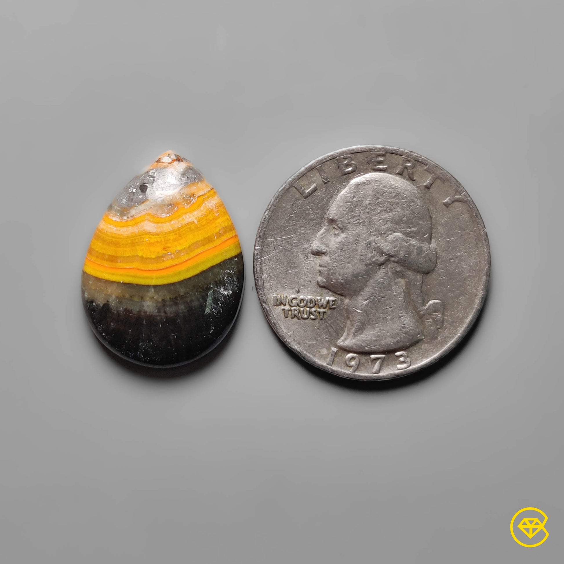 Bumble Bee Jasper