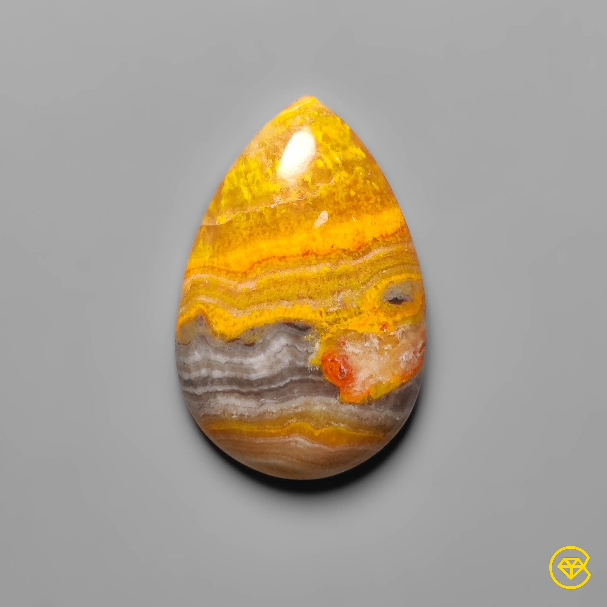 Bumble Bee Jasper
