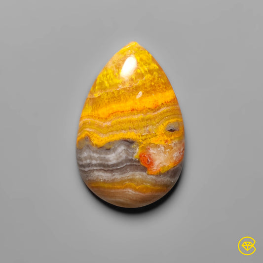 Bumble Bee Jasper