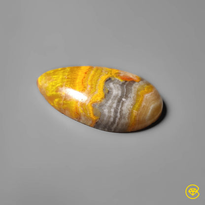 Bumble Bee Jasper