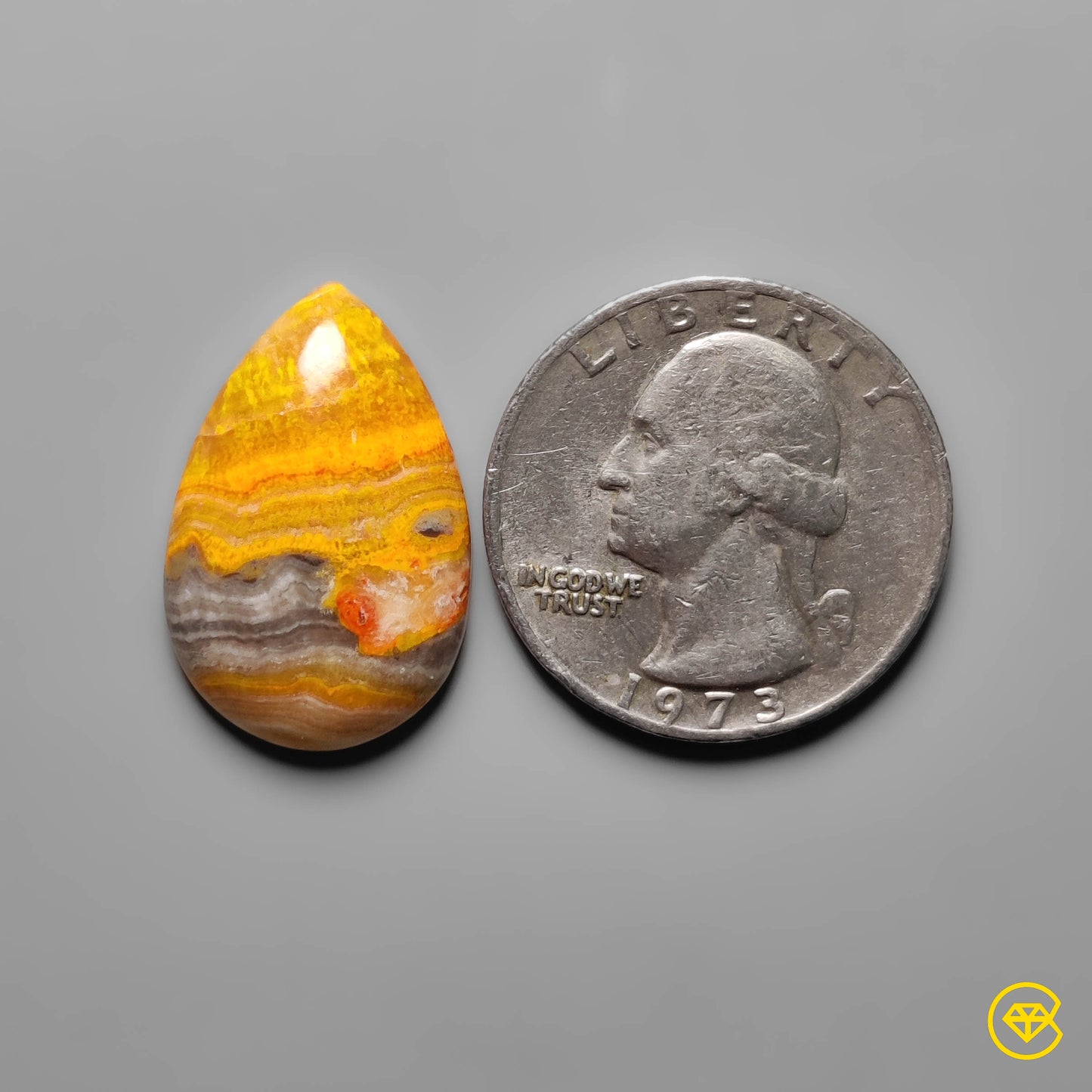 Bumble Bee Jasper