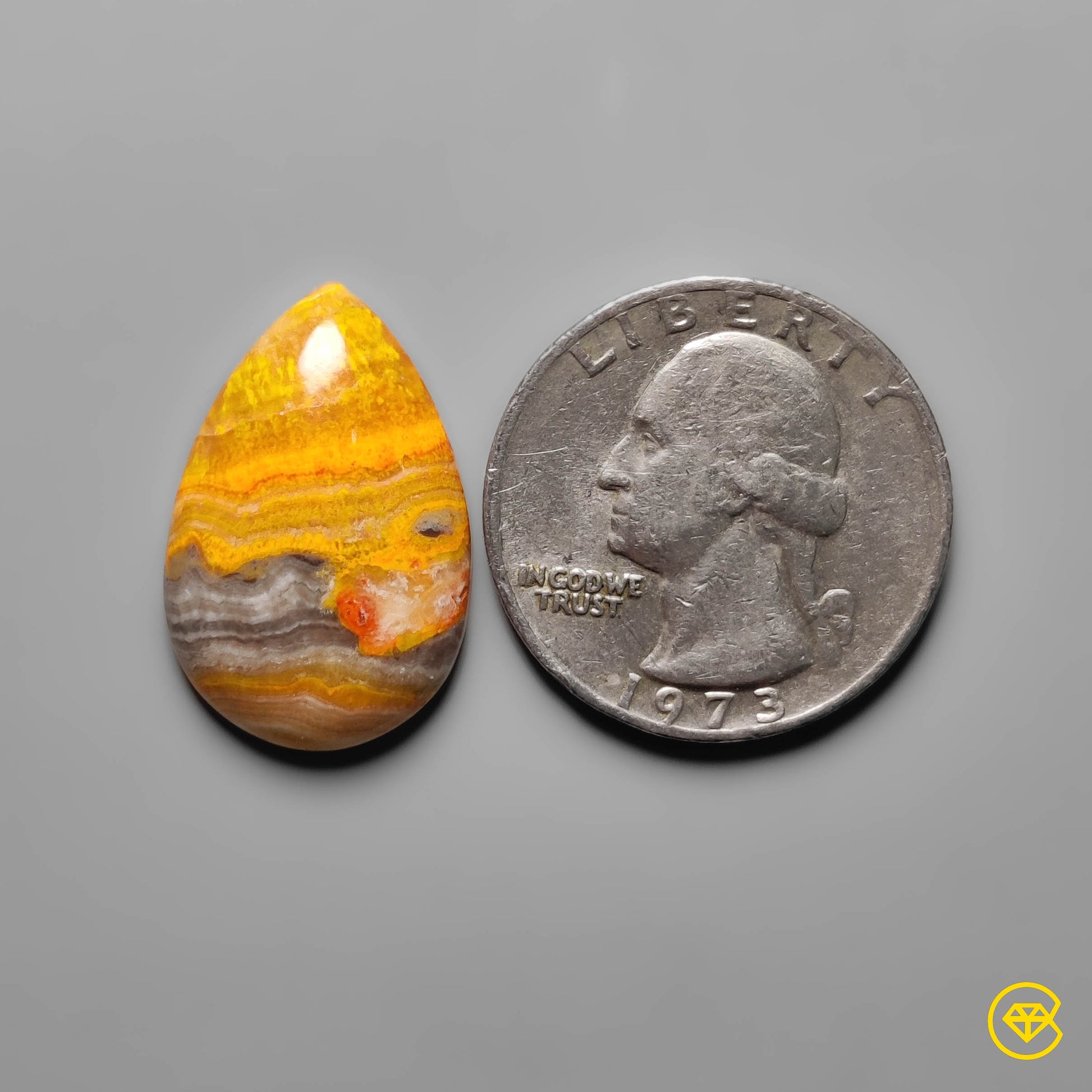 Bumble Bee Jasper