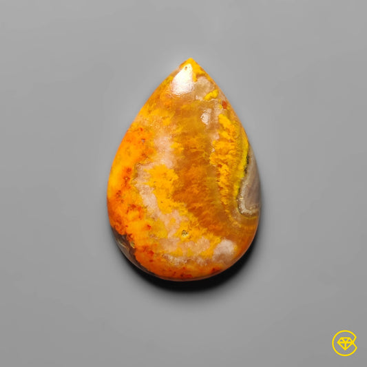 Bumble Bee Jasper